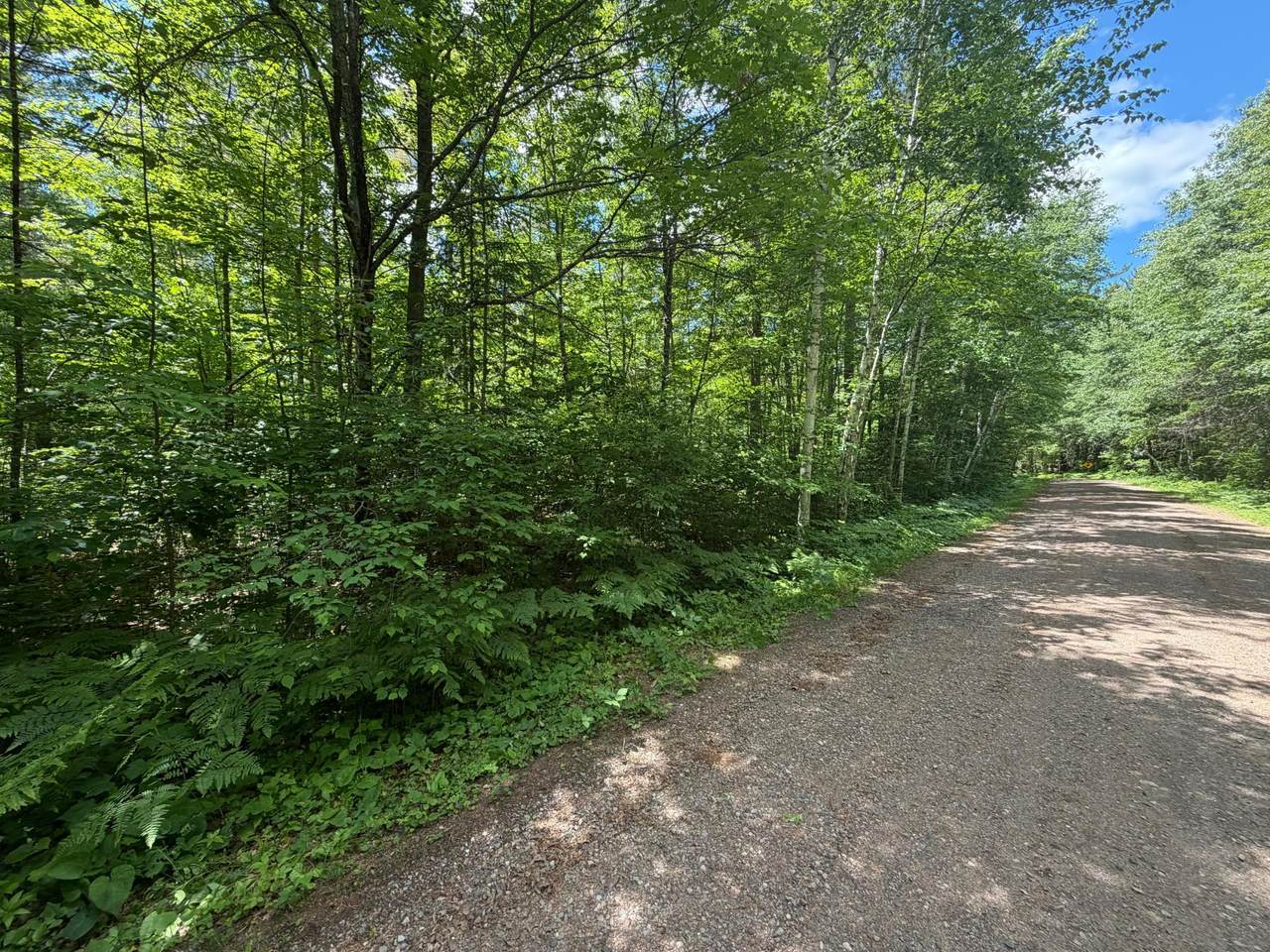 Lot 2 Maplestone Rd - Photo 1