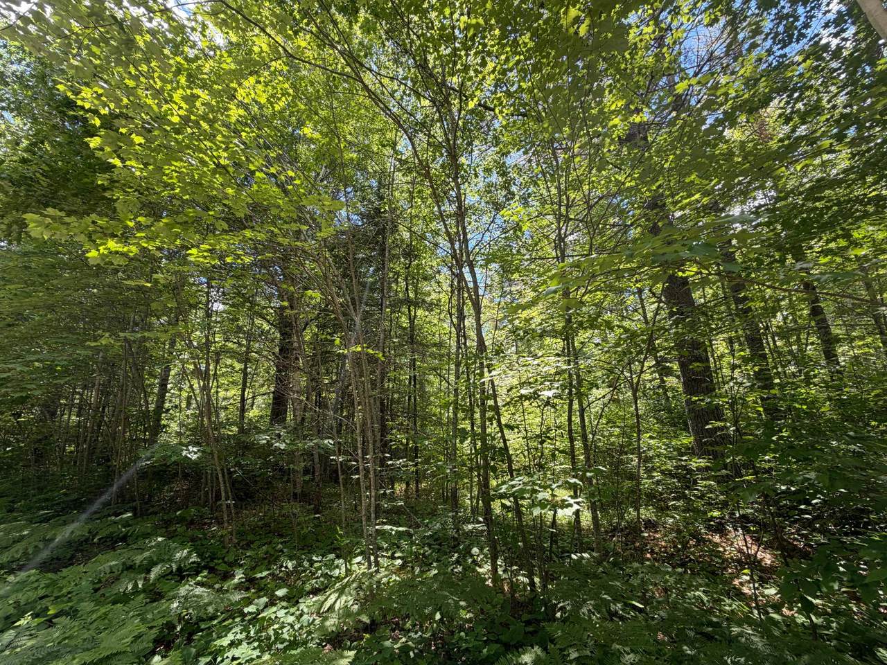 https://bt-photos.global.ssl.fastly.net/northwoods/1280_boomver_1_218029-2.jpg