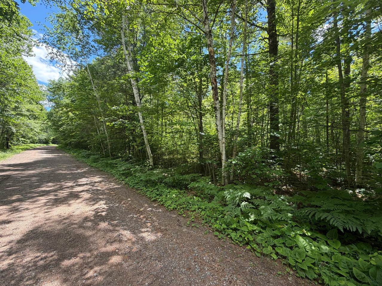 Lot 1 Maplestone Rd - Photo 1
