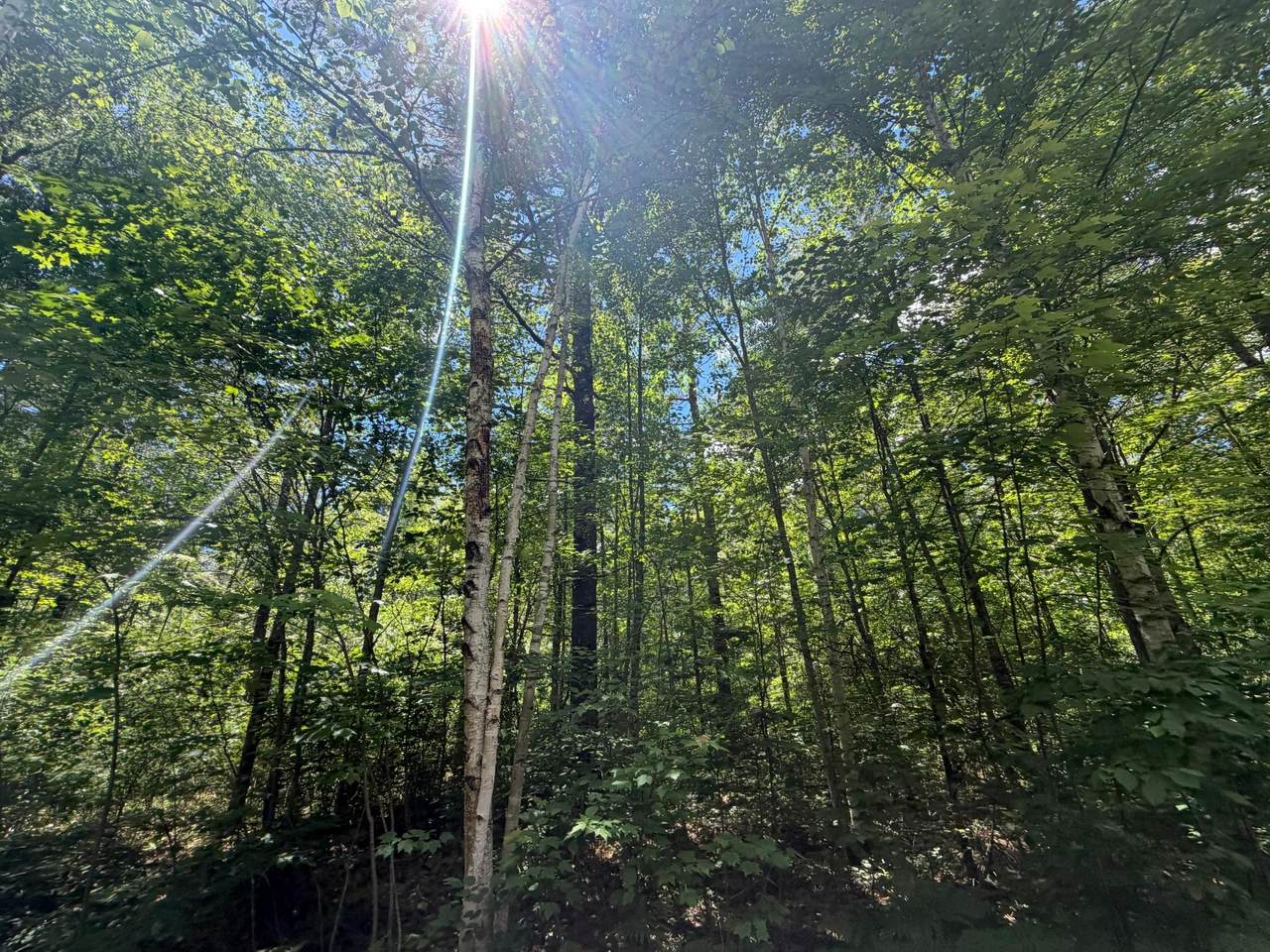 https://bt-photos.global.ssl.fastly.net/northwoods/1280_boomver_1_218030-2.jpg
