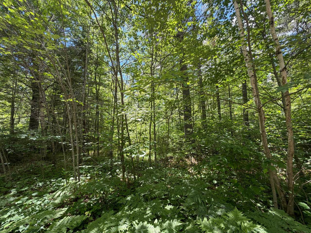 https://bt-photos.global.ssl.fastly.net/northwoods/1280_boomver_1_218030-2.jpg