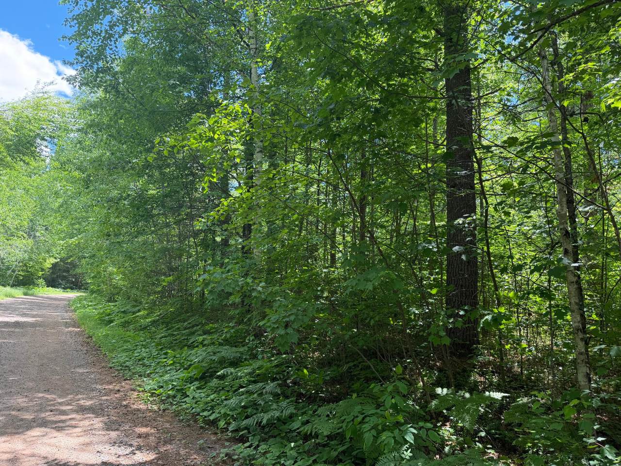 Lot 30 Maplestone Rd - Photo 1