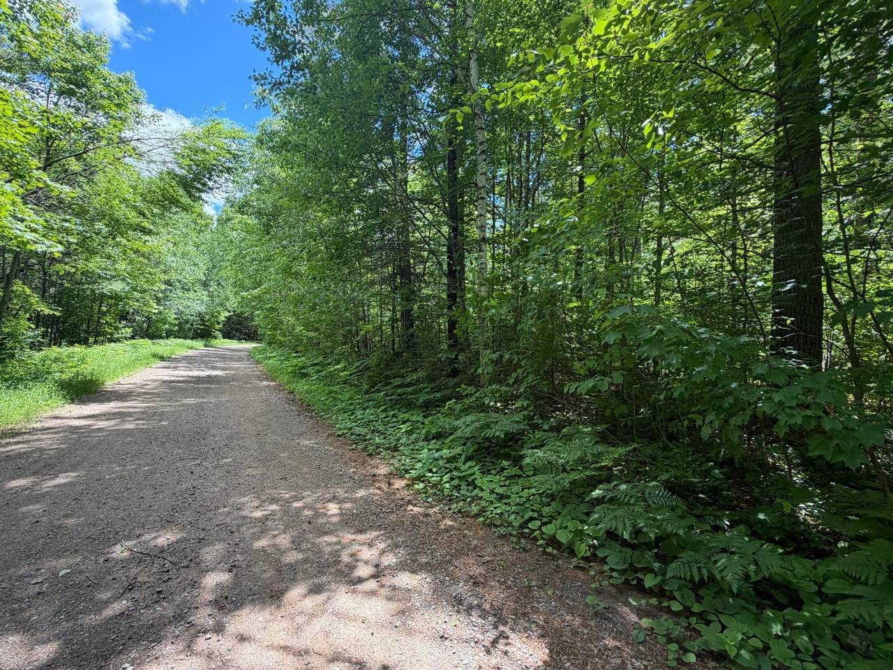 Lot 29 Maplestone Rd - Photo 1