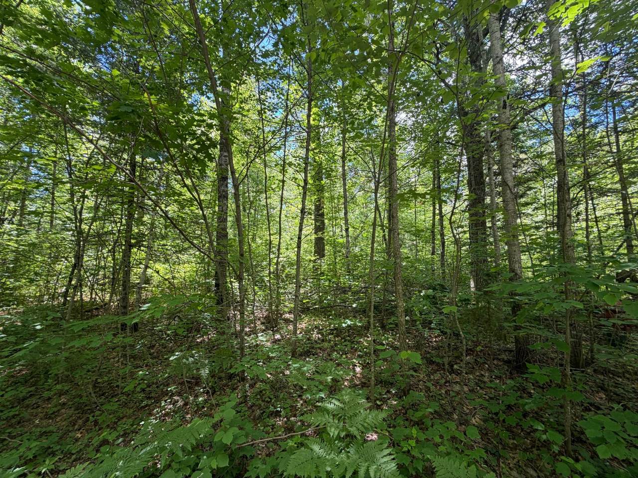 https://bt-photos.global.ssl.fastly.net/northwoods/1280_boomver_1_218032-2.jpg