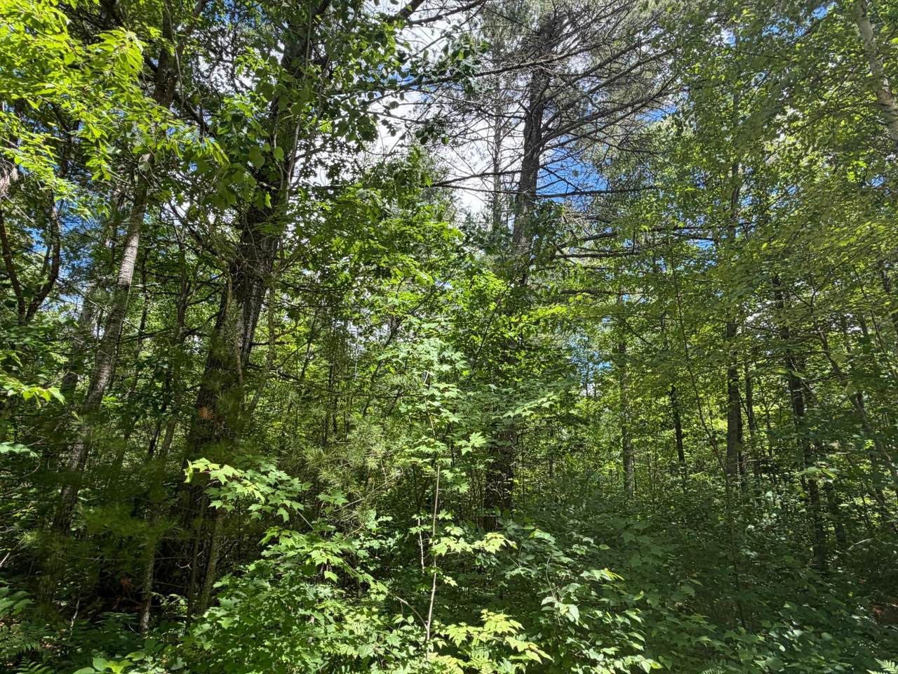 https://bt-photos.global.ssl.fastly.net/northwoods/1280_boomver_1_218033-2.jpg