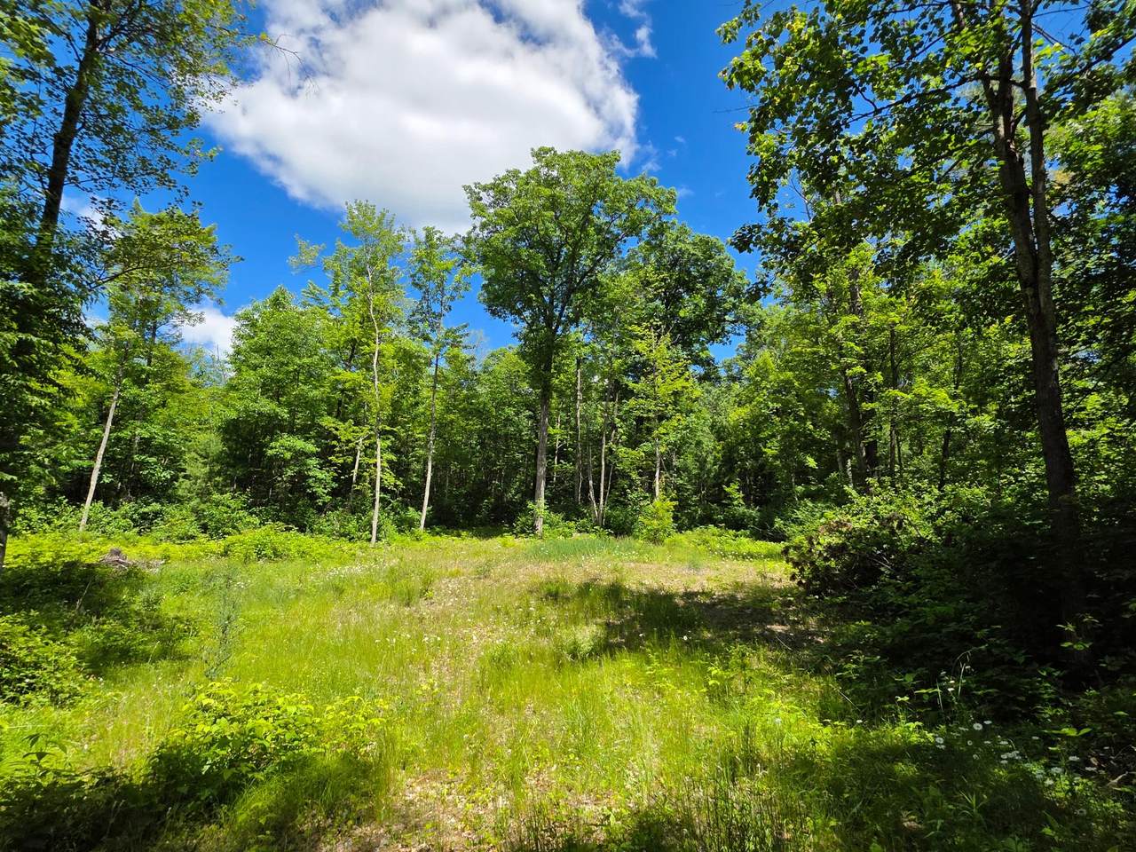 https://bt-photos.global.ssl.fastly.net/northwoods/1280_boomver_1_218035-2.jpg