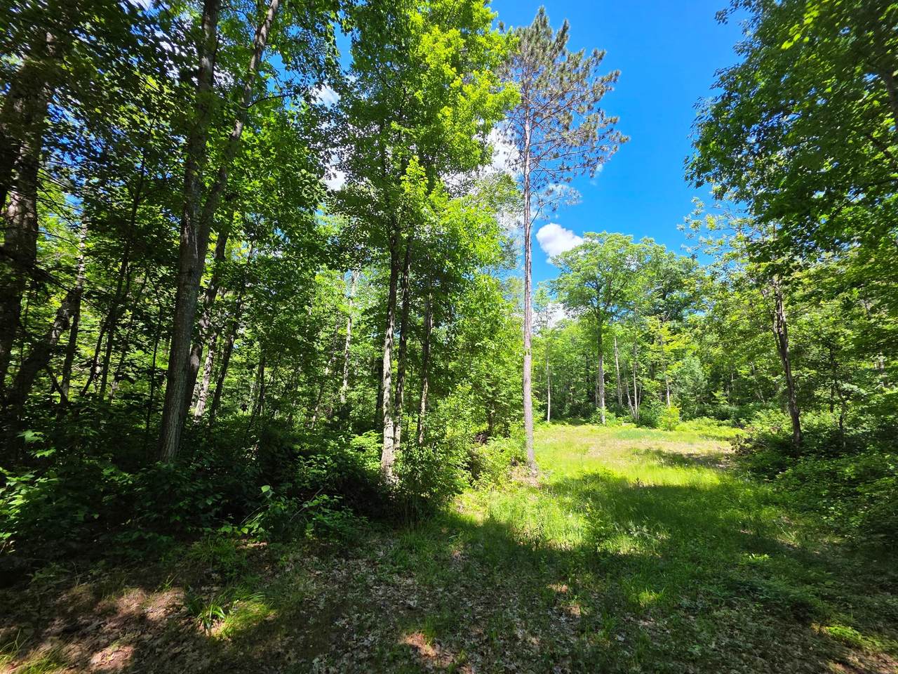 https://bt-photos.global.ssl.fastly.net/northwoods/1280_boomver_1_218035-2.jpg