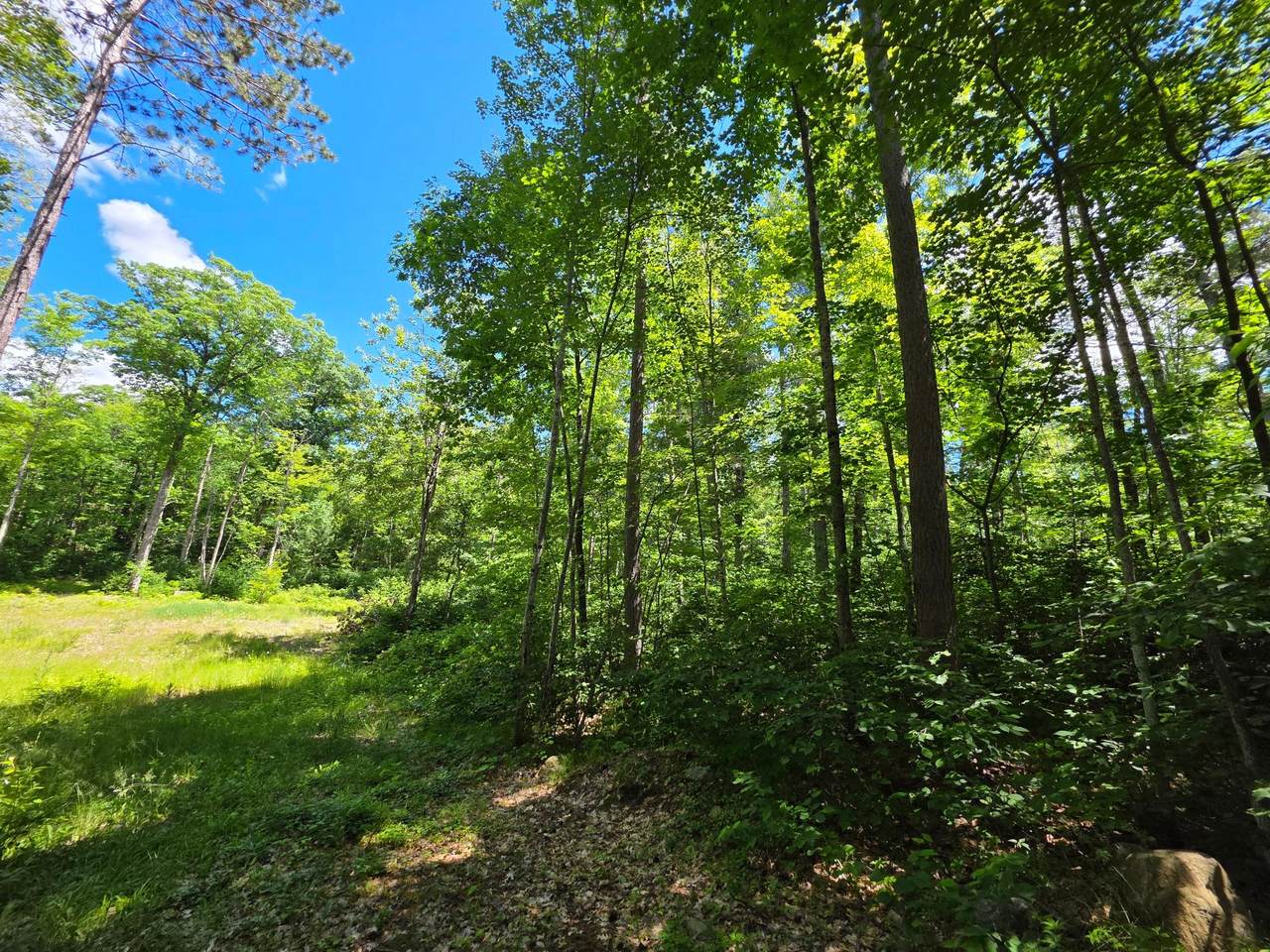 https://bt-photos.global.ssl.fastly.net/northwoods/1280_boomver_1_218035-2.jpg