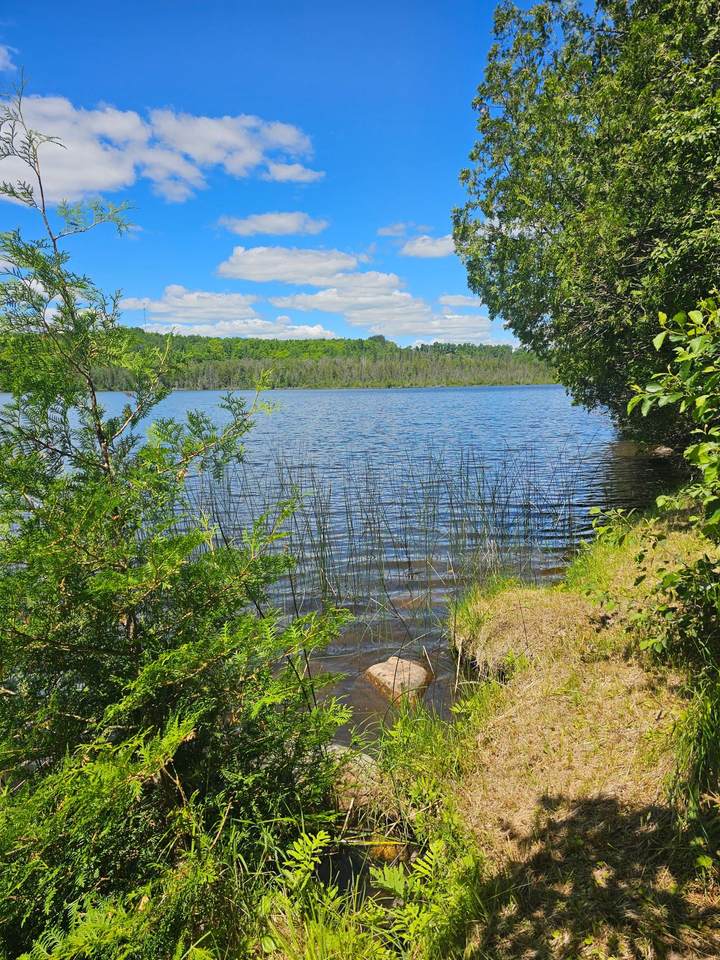 1441 Range Line Lake Ln - Photo 1