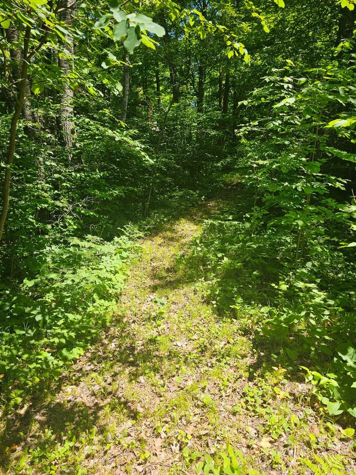 https://bt-photos.global.ssl.fastly.net/northwoods/1280_boomver_1_218039-2.jpg