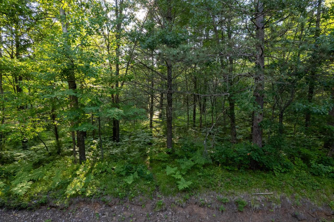 https://bt-photos.global.ssl.fastly.net/northwoods/1280_boomver_1_218062-2.jpg