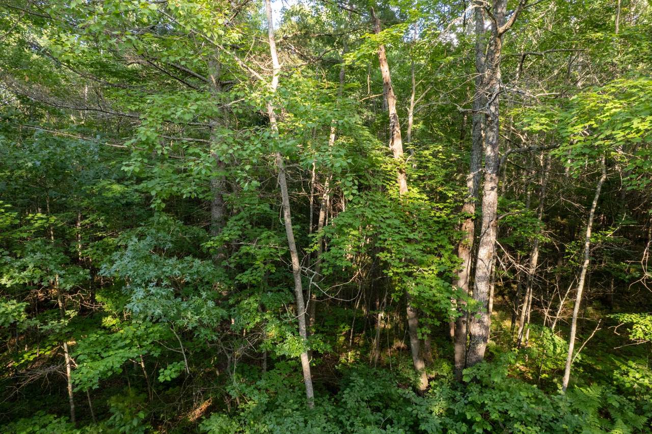 https://bt-photos.global.ssl.fastly.net/northwoods/1280_boomver_1_218062-2.jpg