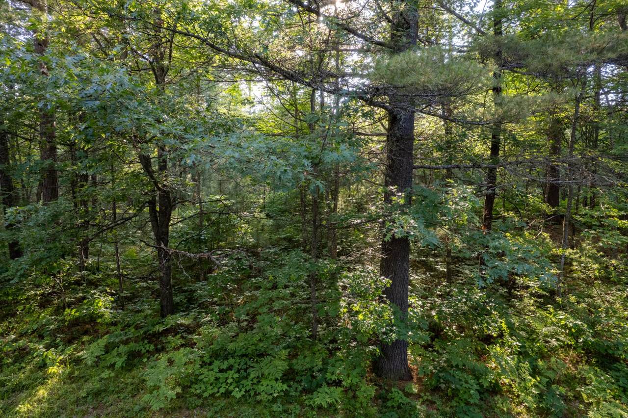 https://bt-photos.global.ssl.fastly.net/northwoods/1280_boomver_1_218063-2.jpg