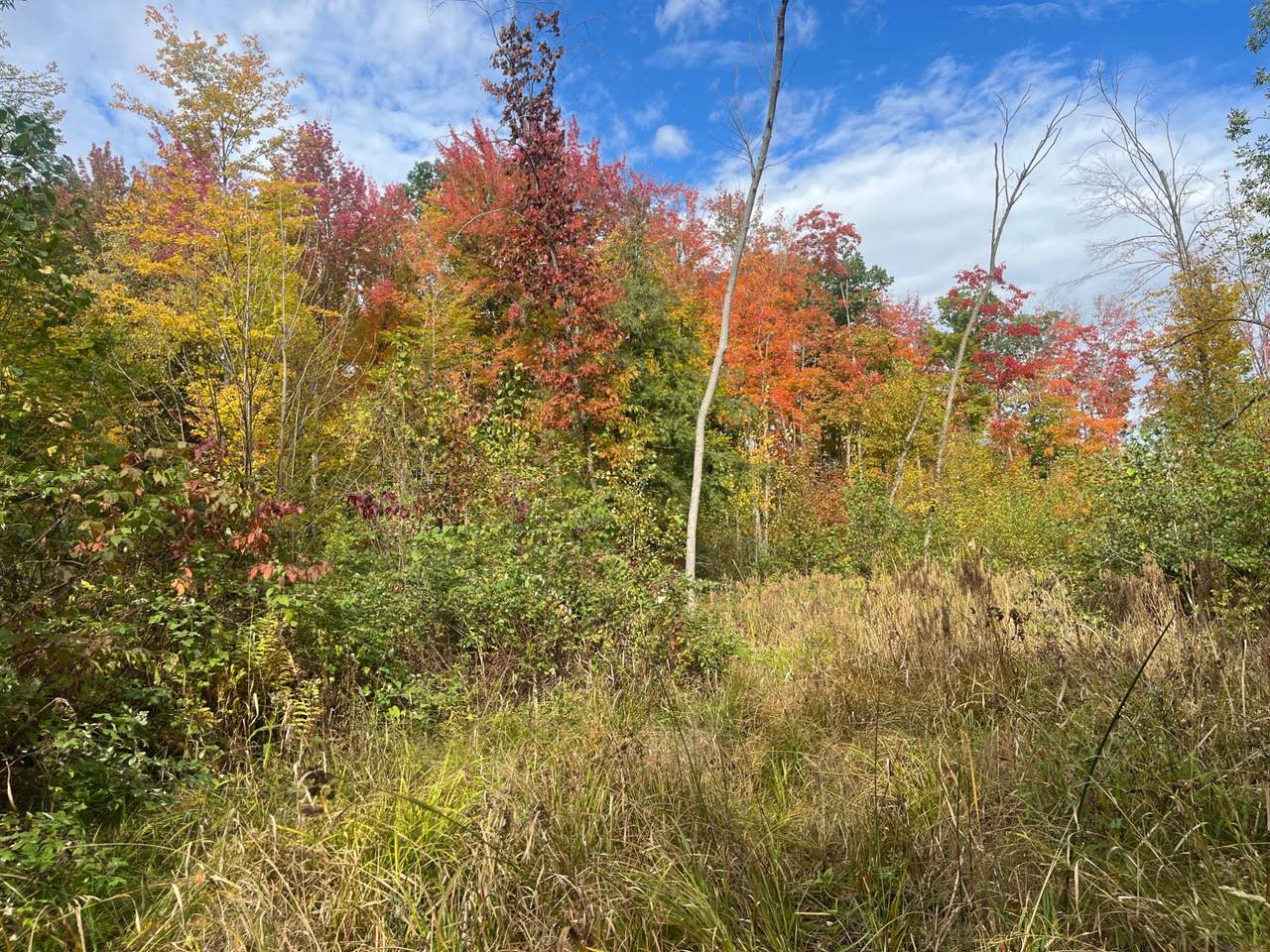 https://bt-photos.global.ssl.fastly.net/northwoods/orig_boomver_1_218069-2.jpg