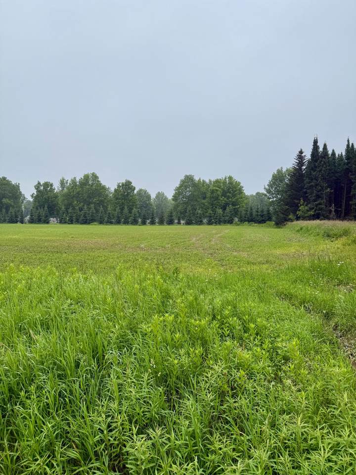 https://bt-photos.global.ssl.fastly.net/northwoods/1280_boomver_1_218163-2.jpg