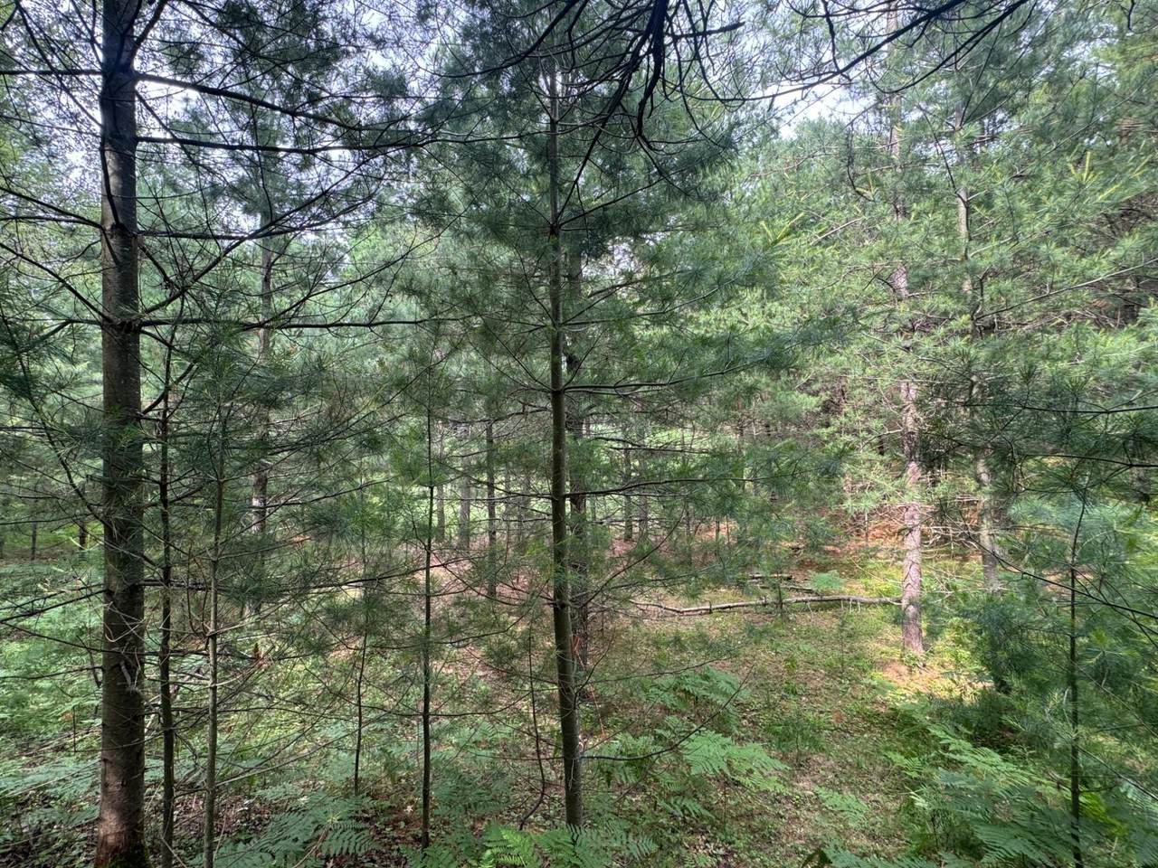 https://bt-photos.global.ssl.fastly.net/northwoods/1280_boomver_1_218181-2.jpg