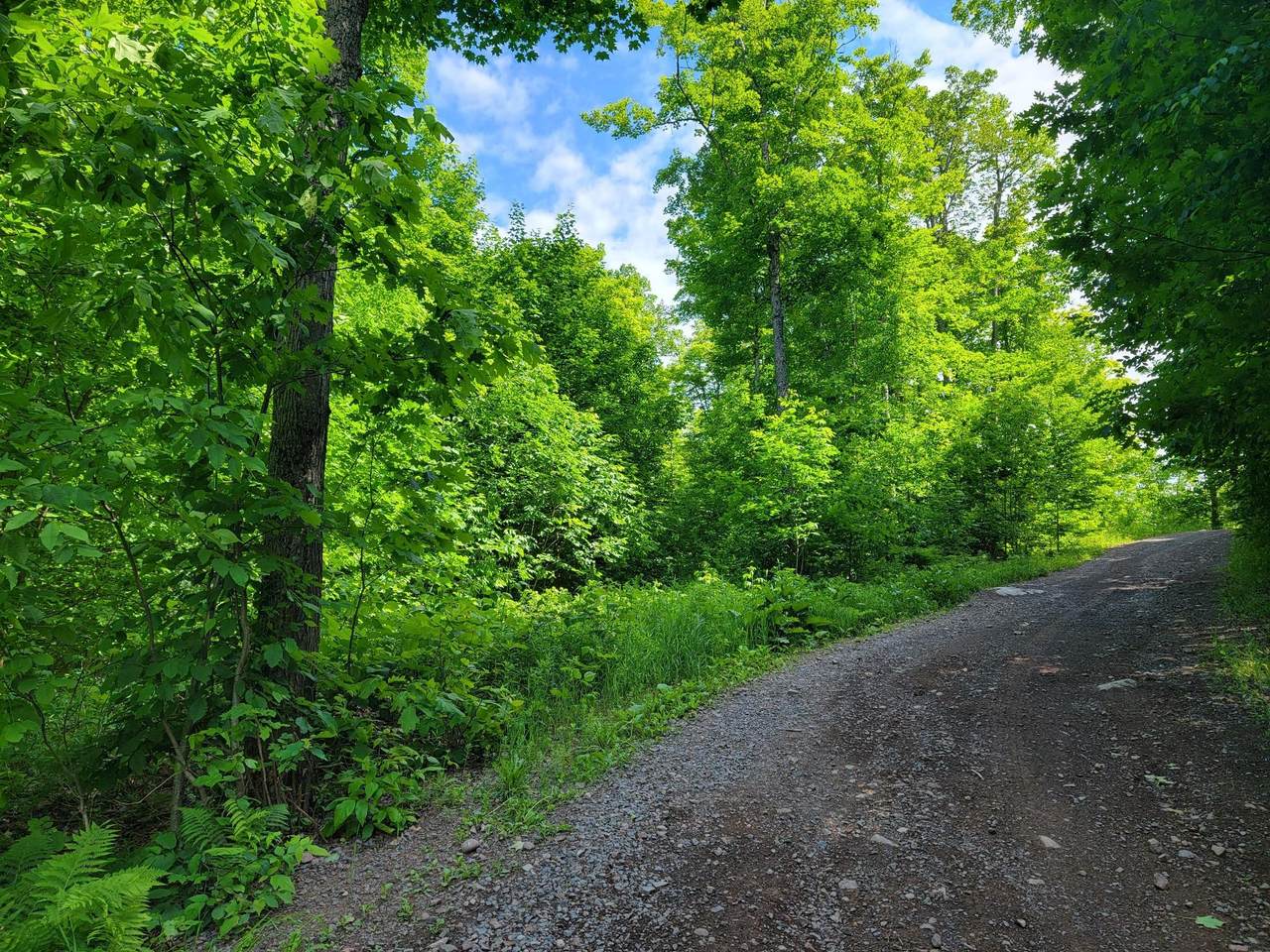 Lot 14 Alpine Shores Dr - Photo 1