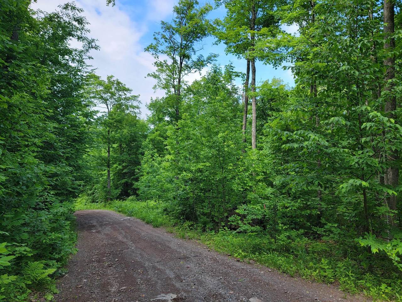 https://bt-photos.global.ssl.fastly.net/northwoods/1280_boomver_1_218201-2.jpg