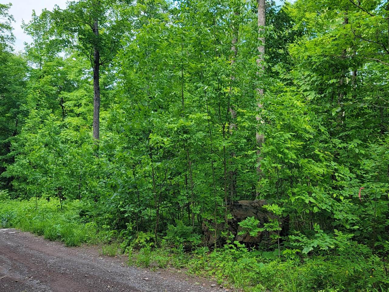 https://bt-photos.global.ssl.fastly.net/northwoods/1280_boomver_1_218201-2.jpg