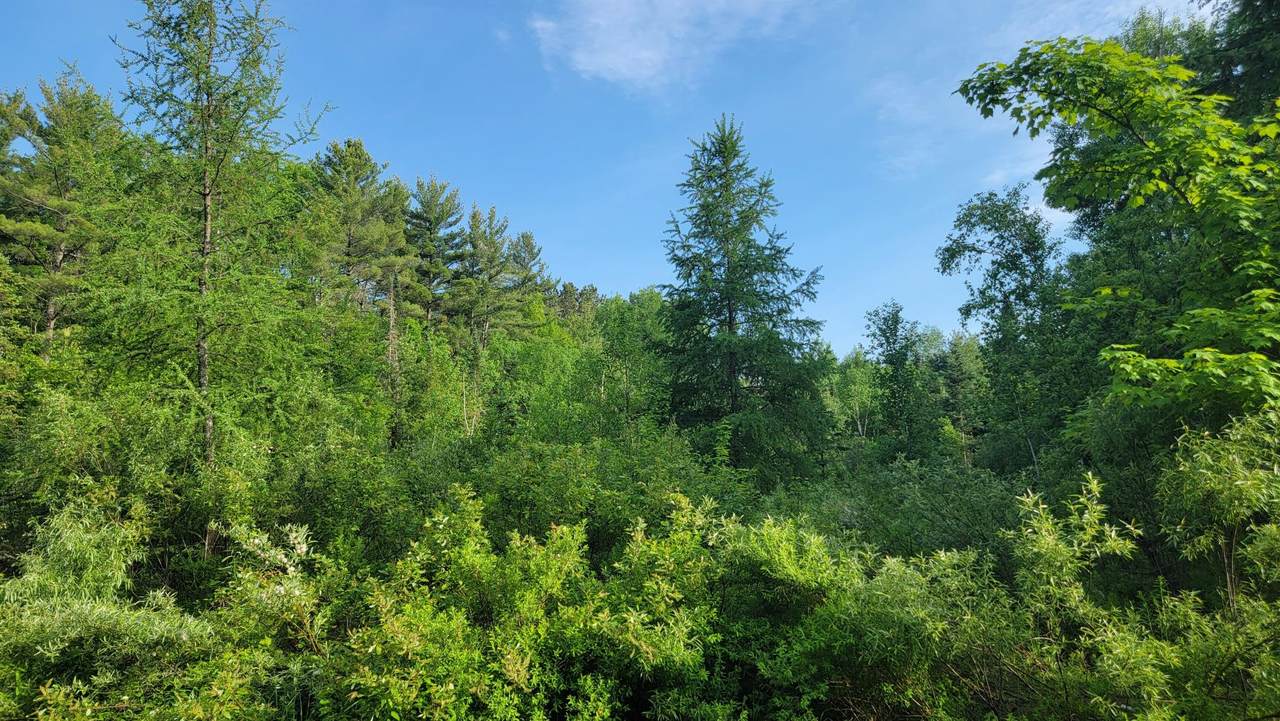 https://bt-photos.global.ssl.fastly.net/northwoods/1280_boomver_1_218215-2.jpg