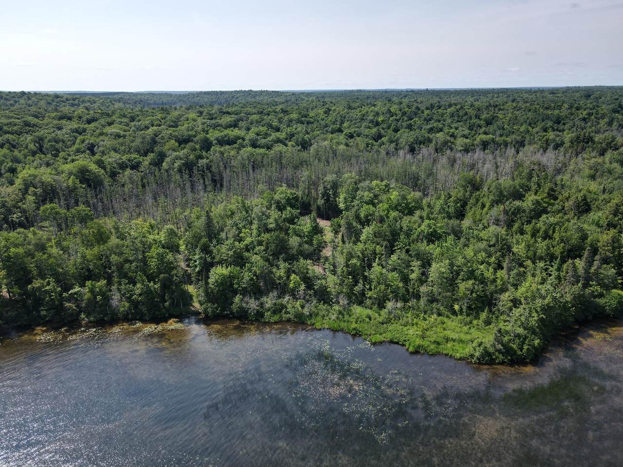 https://bt-photos.global.ssl.fastly.net/northwoods/1280_boomver_1_218274-2.jpg