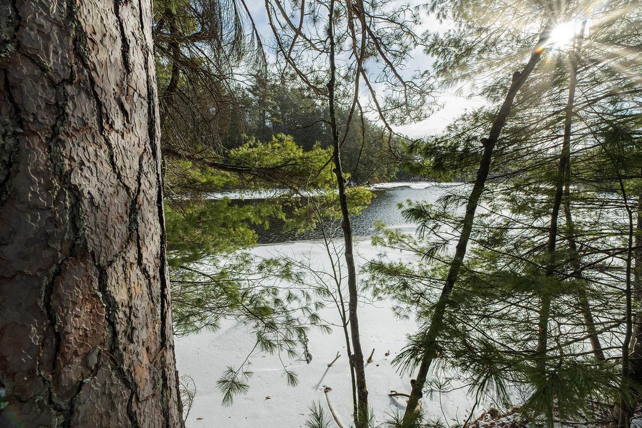 Lot 4 Dam Rd - Photo 1
