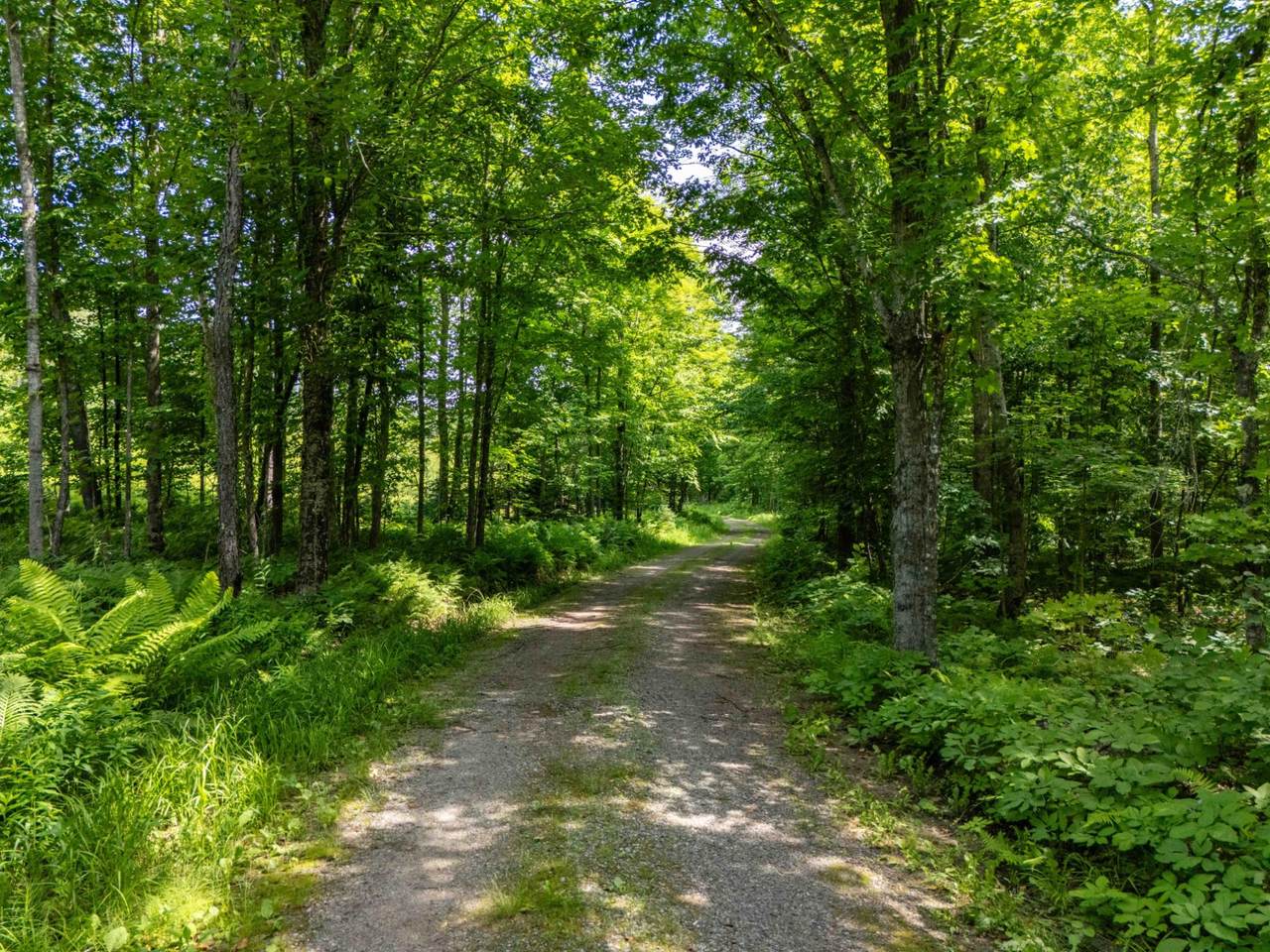 https://bt-photos.global.ssl.fastly.net/northwoods/1280_boomver_1_218282-2.jpg