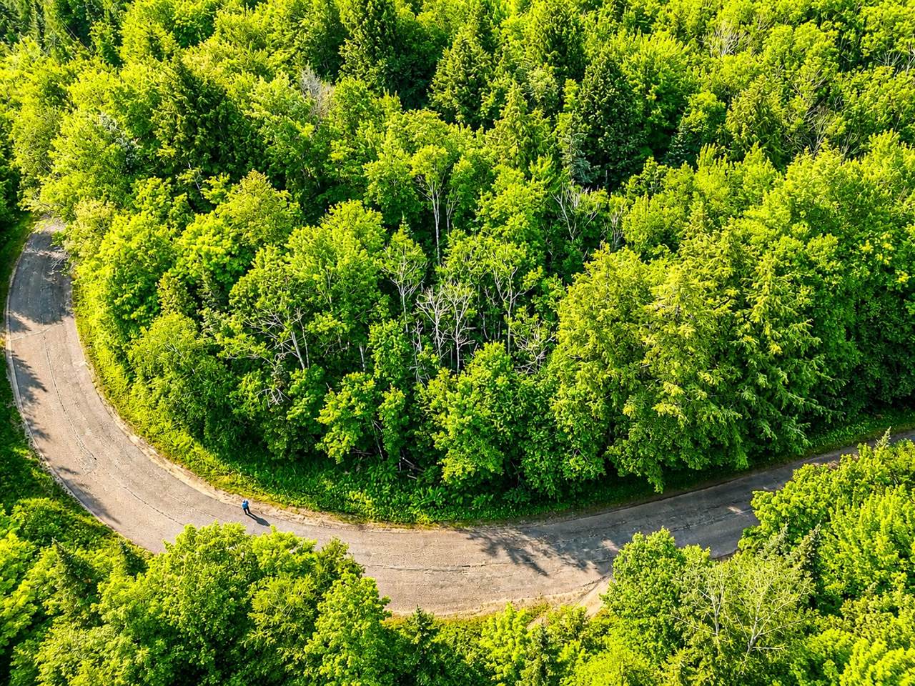 Lot 4 Stateline Lake Rd - Photo 1