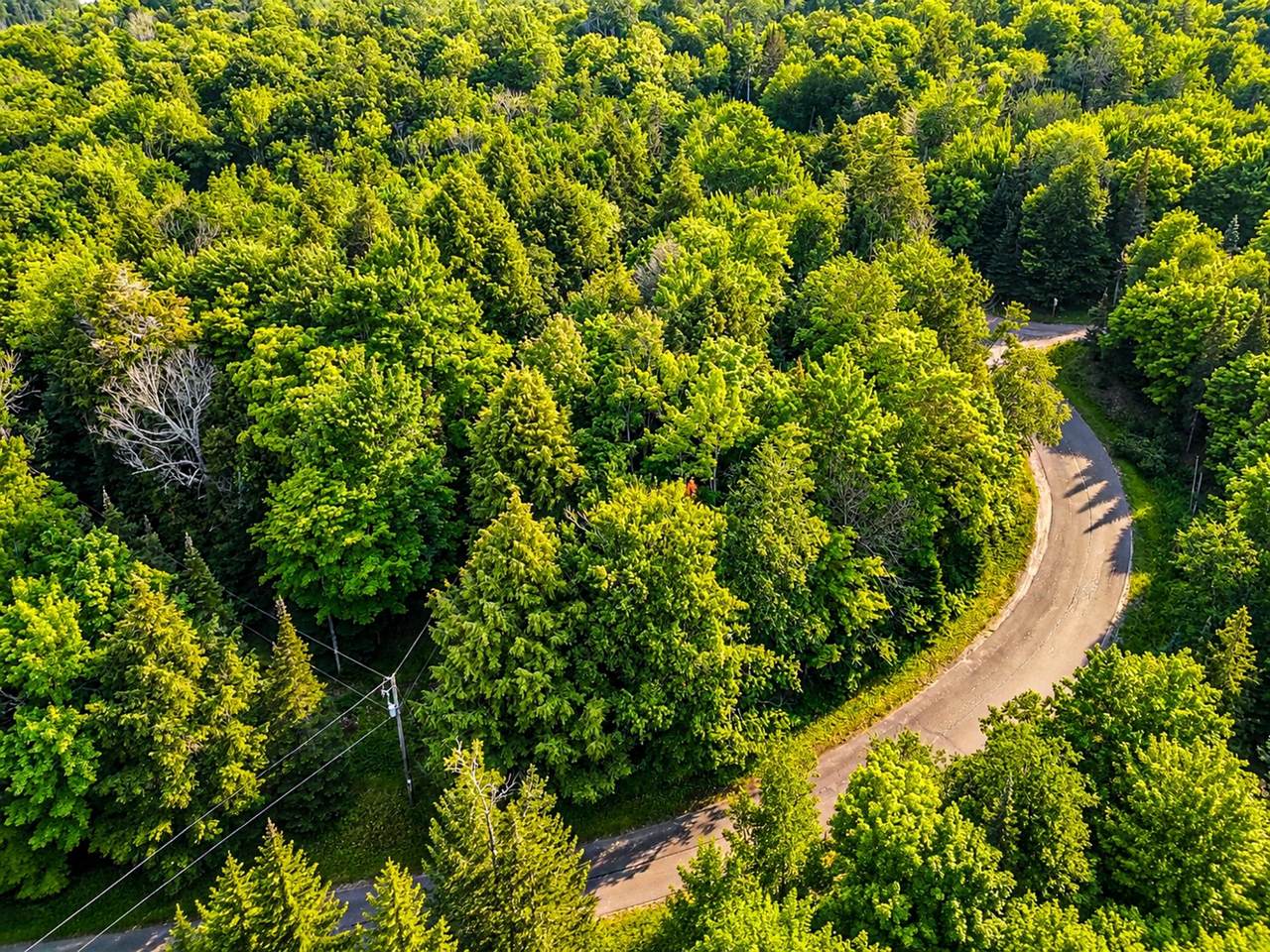 https://bt-photos.global.ssl.fastly.net/northwoods/1280_boomver_1_218287-2.jpg