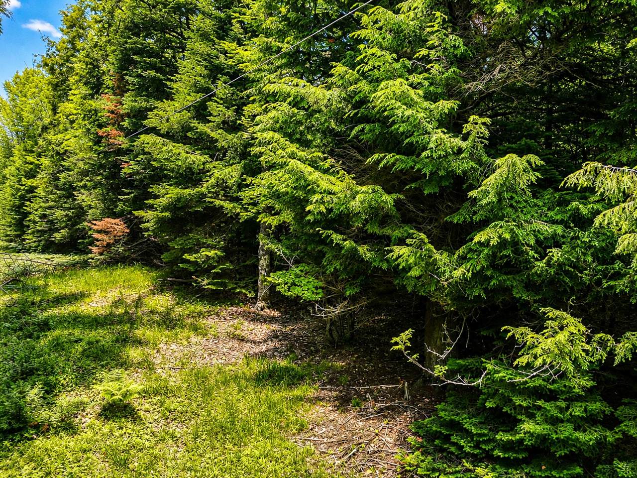 https://bt-photos.global.ssl.fastly.net/northwoods/1280_boomver_1_218287-2.jpg