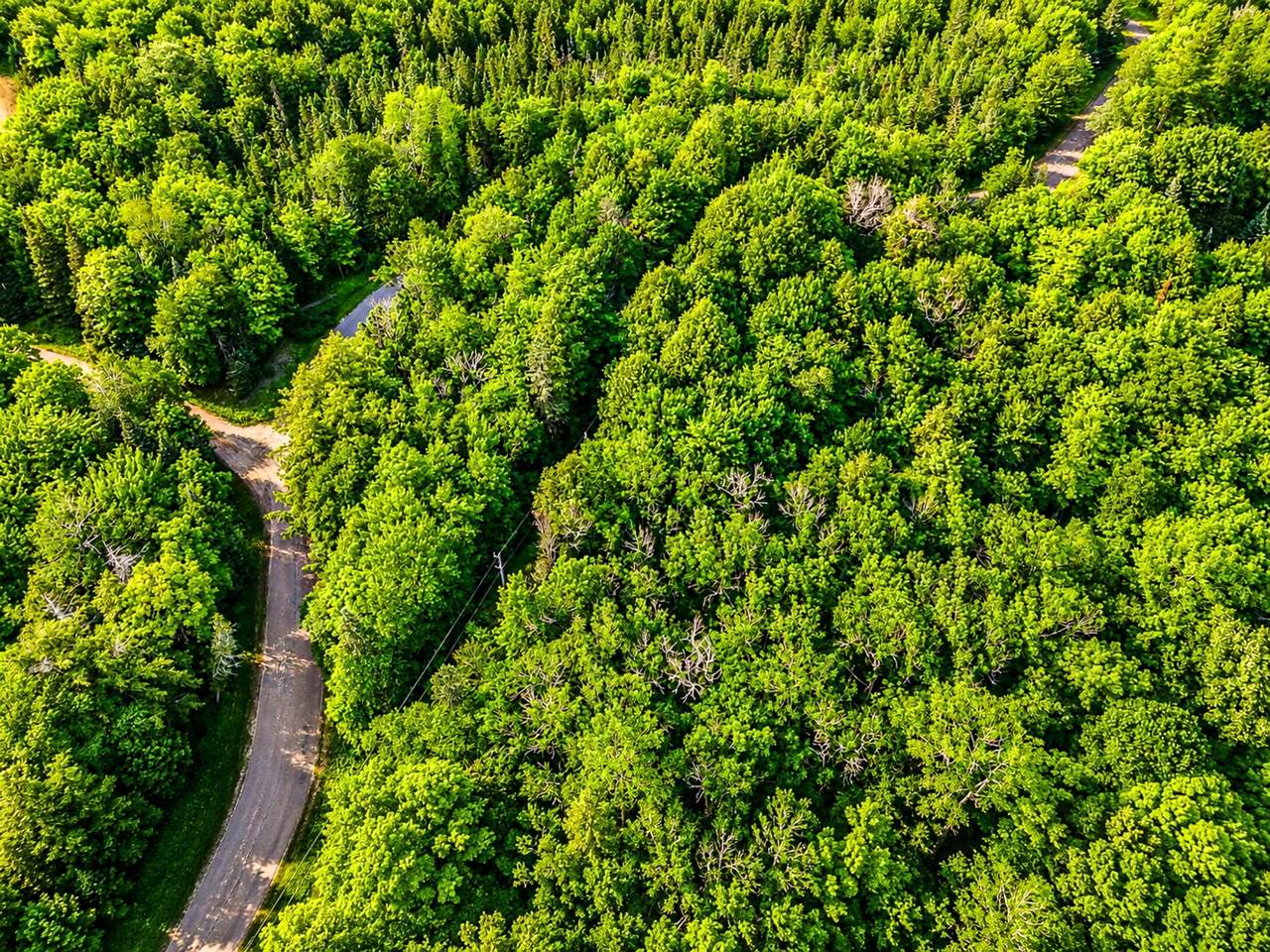 https://bt-photos.global.ssl.fastly.net/northwoods/1280_boomver_1_218287-2.jpg