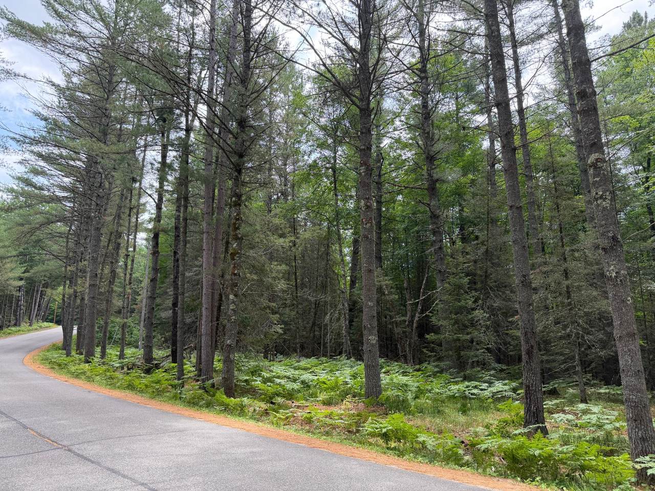 Lot 1 Watersmeet Lake Rd - Photo 1