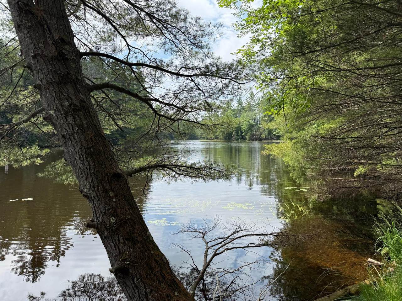 https://bt-photos.global.ssl.fastly.net/northwoods/1280_boomver_1_218308-2.jpg