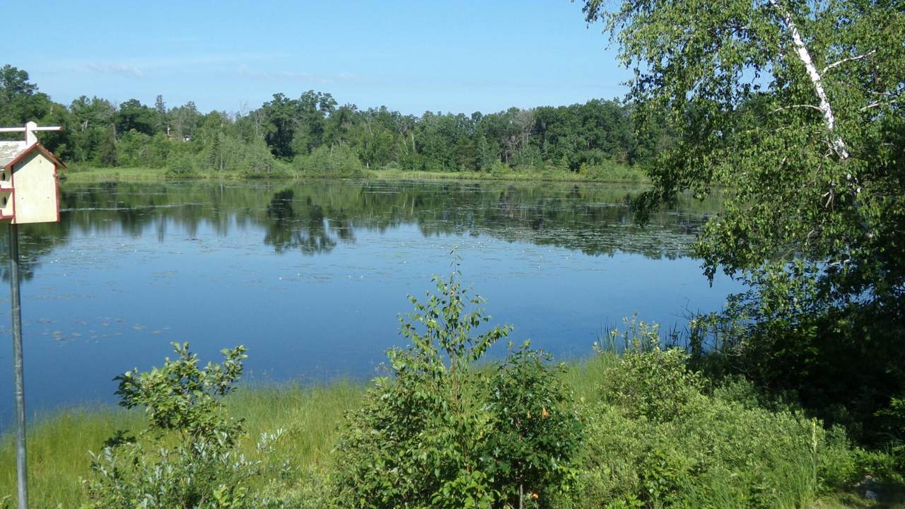 https://bt-photos.global.ssl.fastly.net/northwoods/1280_boomver_1_218319-2.jpg