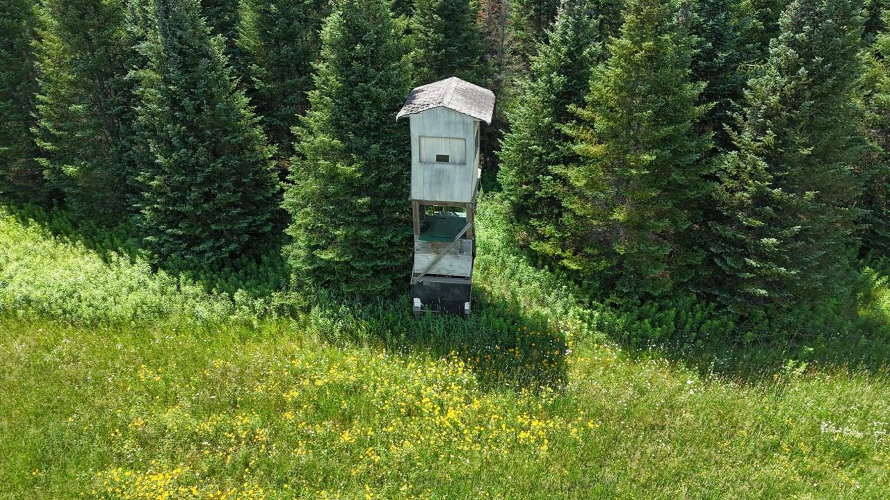 https://bt-photos.global.ssl.fastly.net/northwoods/1280_boomver_1_218327-2.jpg