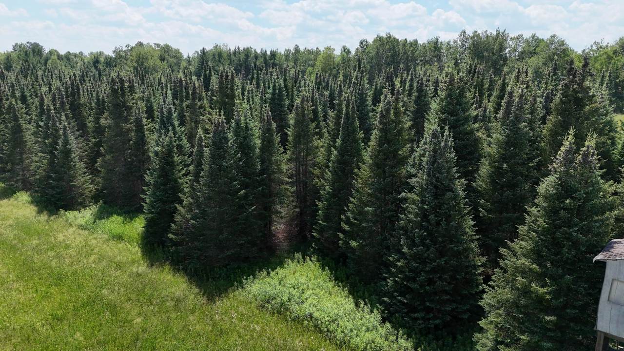 https://bt-photos.global.ssl.fastly.net/northwoods/1280_boomver_1_218327-2.jpg