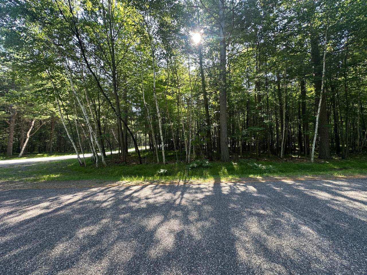 1.68 Red Pine Cr - Photo 1