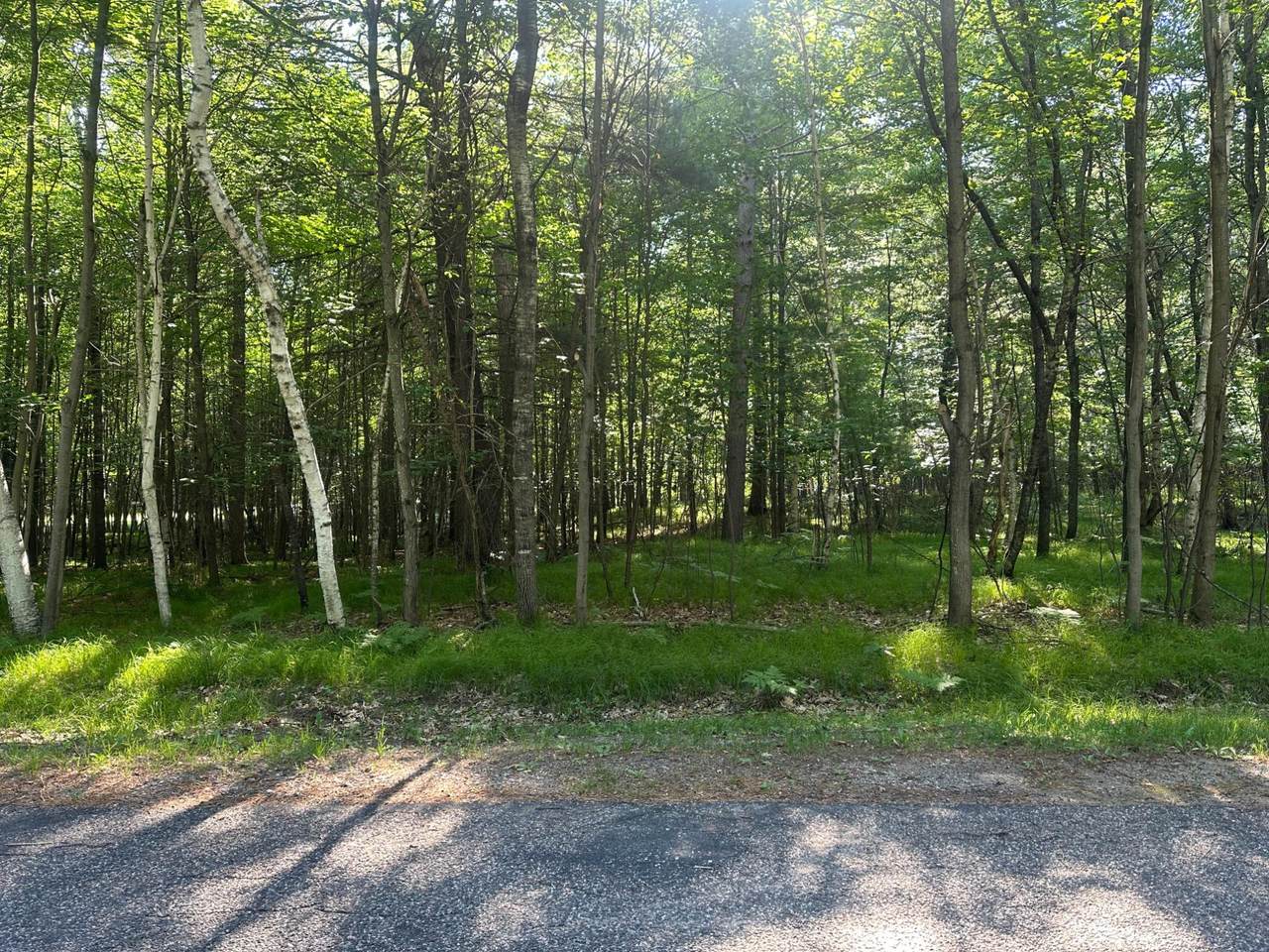 https://bt-photos.global.ssl.fastly.net/northwoods/1280_boomver_1_218343-2.jpg