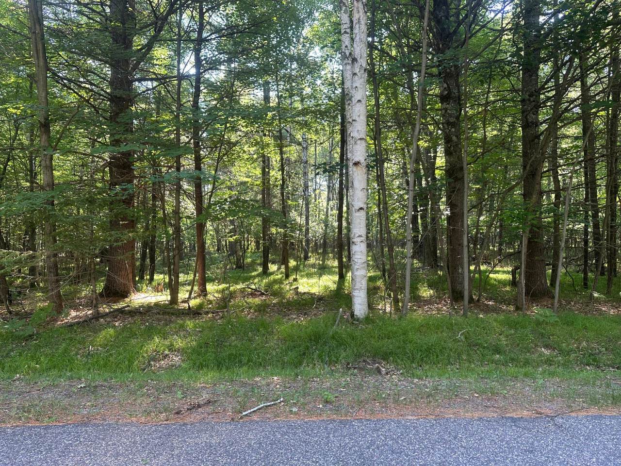 https://bt-photos.global.ssl.fastly.net/northwoods/1280_boomver_1_218343-2.jpg