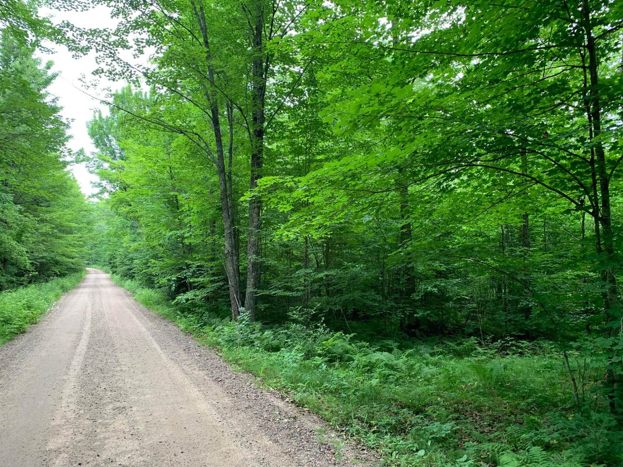000 Summit Woods Ln - Photo 1