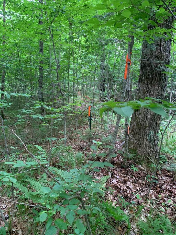 https://bt-photos.global.ssl.fastly.net/northwoods/1280_boomver_1_218353-2.jpg