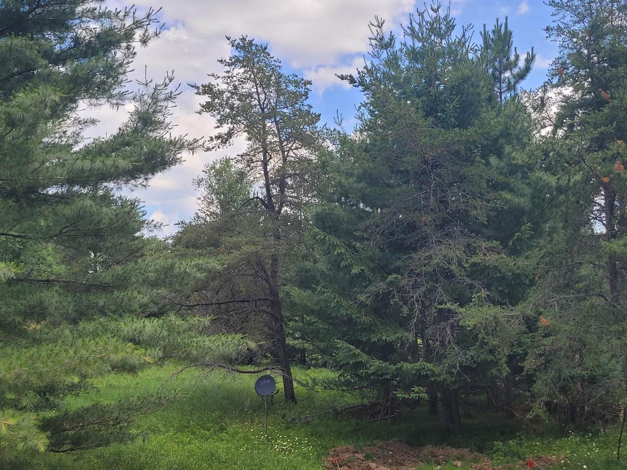 https://bt-photos.global.ssl.fastly.net/northwoods/1280_boomver_1_218354-2.jpg