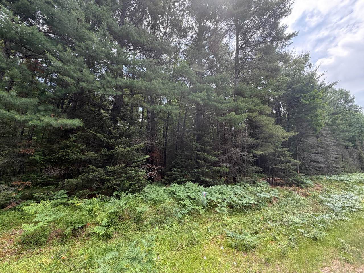 https://bt-photos.global.ssl.fastly.net/northwoods/1280_boomver_1_218370-2.jpg