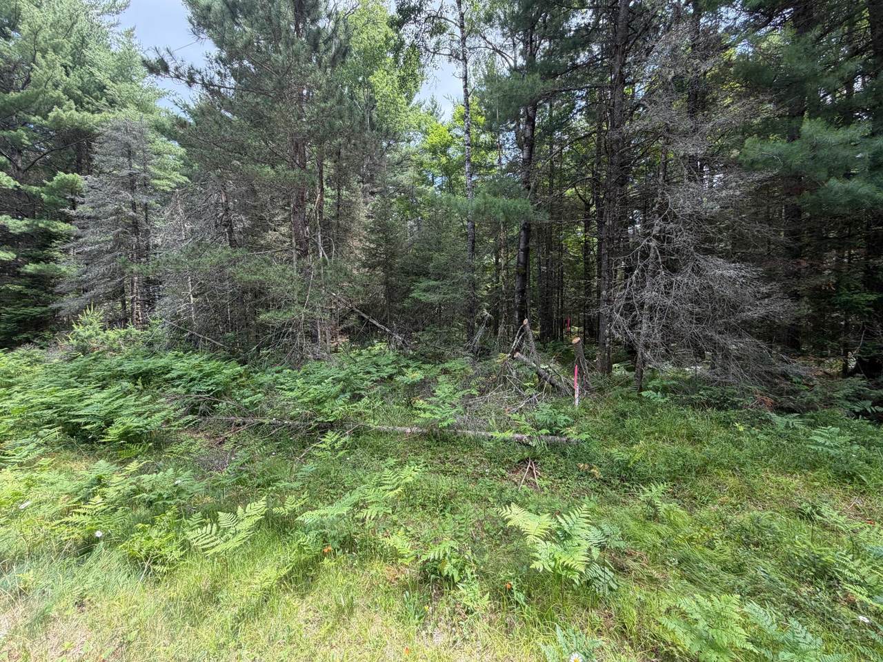 https://bt-photos.global.ssl.fastly.net/northwoods/1280_boomver_1_218370-2.jpg