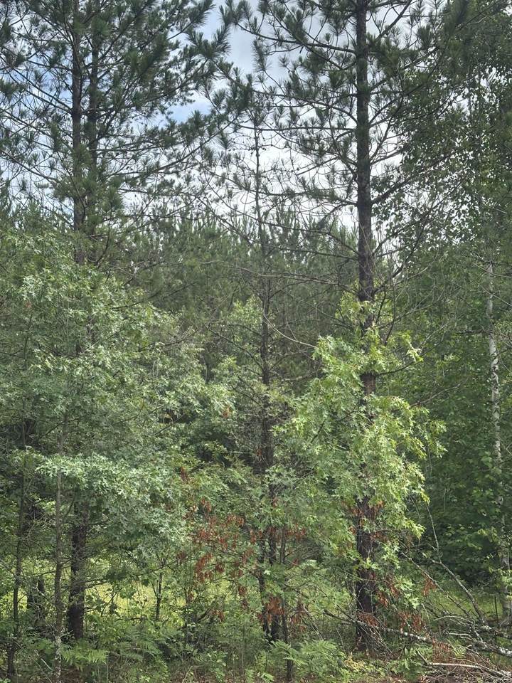 NEAR Cth Y - Photo 1