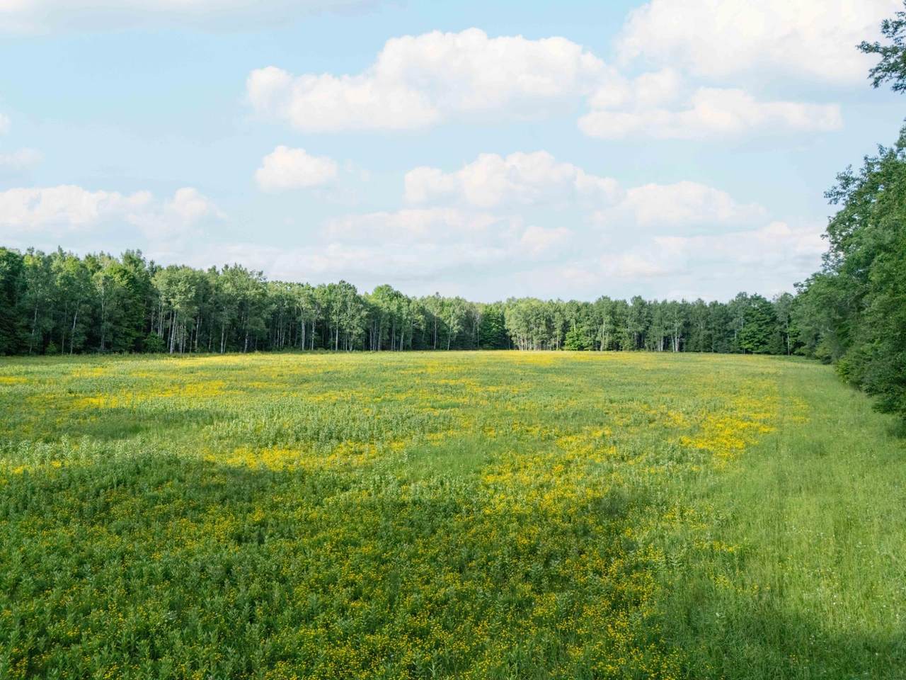https://bt-photos.global.ssl.fastly.net/northwoods/1280_boomver_1_218455-2.jpg