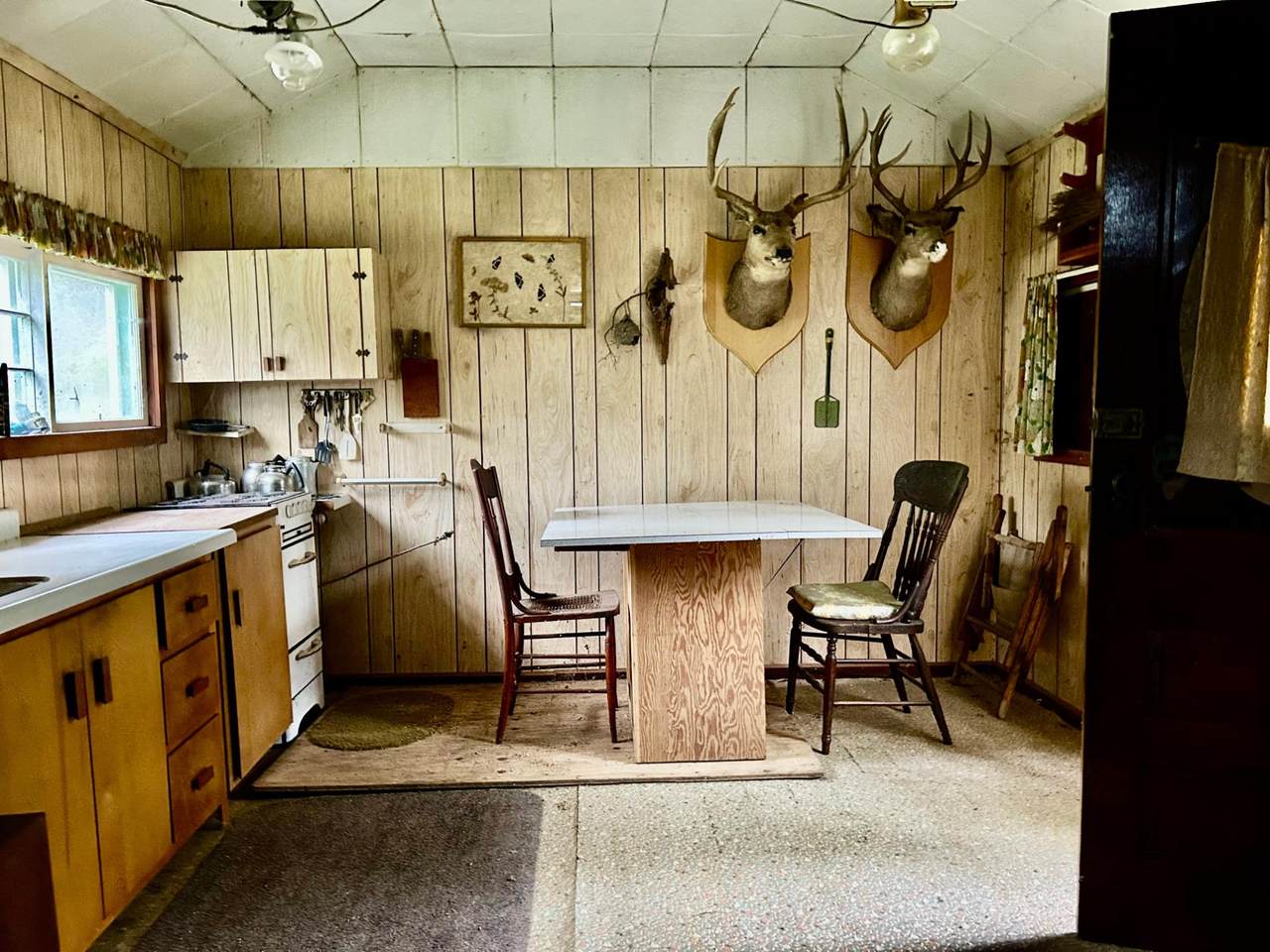 https://bt-photos.global.ssl.fastly.net/northwoods/1280_boomver_1_218476-2.jpg