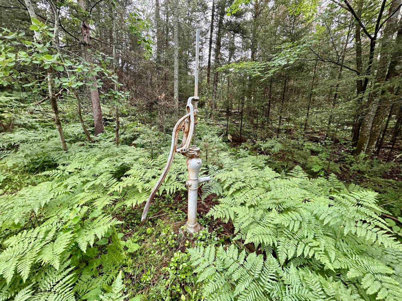 https://bt-photos.global.ssl.fastly.net/northwoods/1280_boomver_1_218476-2.jpg