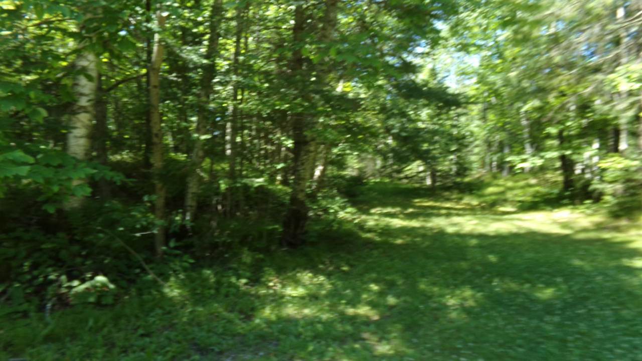 https://bt-photos.global.ssl.fastly.net/northwoods/1280_boomver_1_218484-2.jpg
