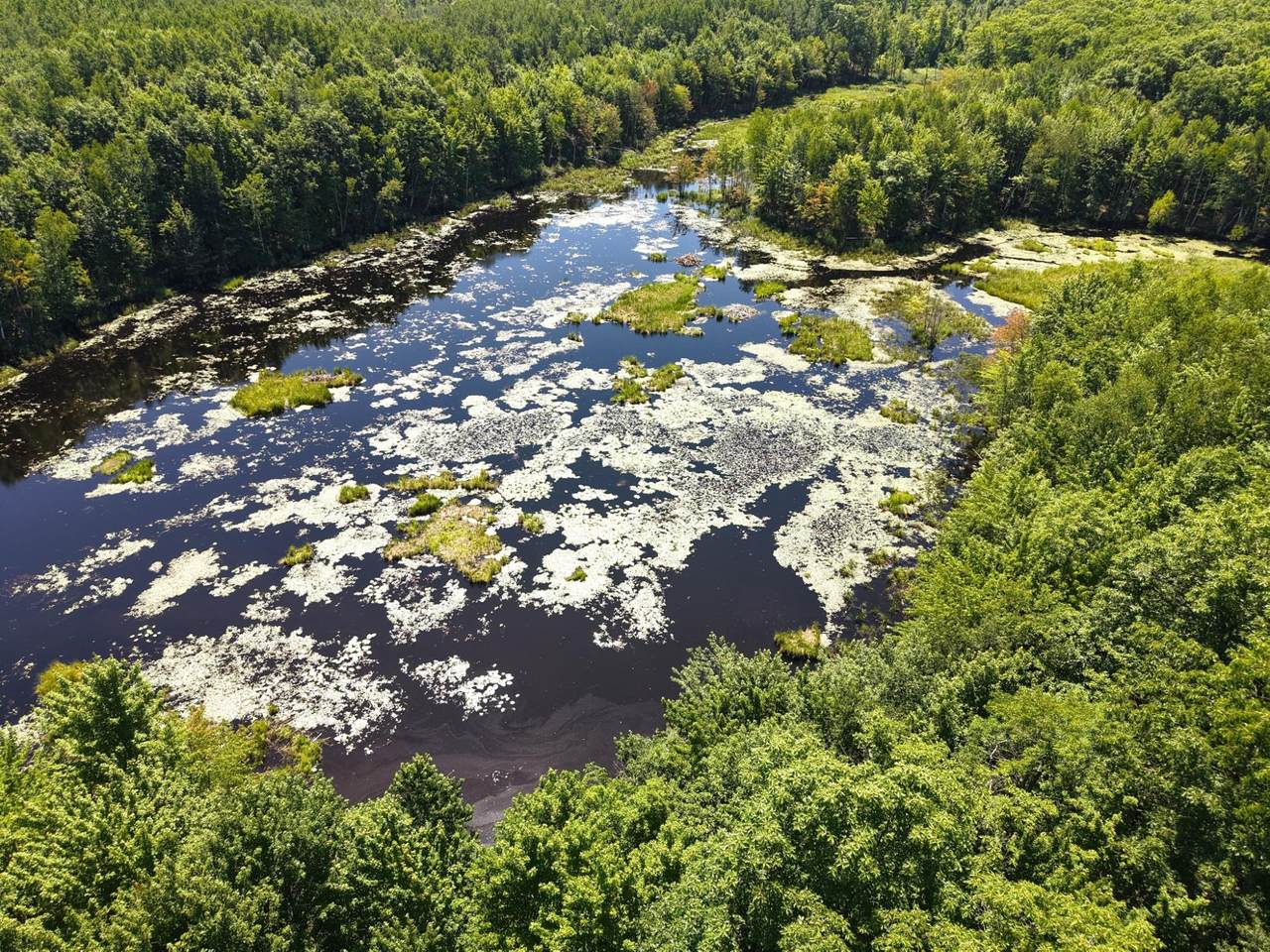 https://bt-photos.global.ssl.fastly.net/northwoods/1280_boomver_1_218487-2.jpg